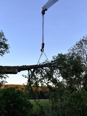 26656