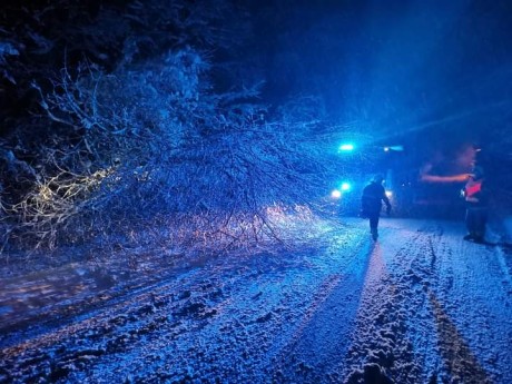 FB_IMG_1701627657783