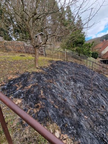 FB_IMG_1708691349295